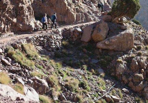 afc14c34-5fd8-4820-b3ee-87b4b7846d0b