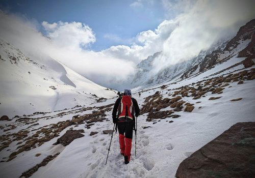 david-magalhaes-lgdH8f69_JQ-unsplash