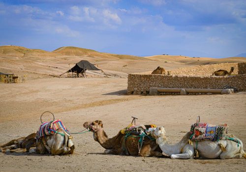 6-Day Signature Journey from Marrakech